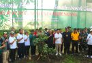 Bali Bergerak Hijau: 35 Ribu Lebih Pohon Ditanam dan Ratusan Kilometer Sungai Dibersihkan Serentak